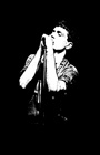 ian curtis canvas art