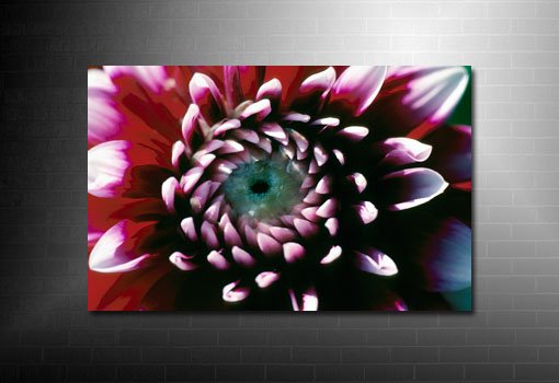 canvas floral print, flower wall art, art nouveau flower, art flower abstract