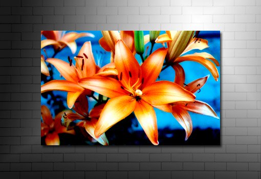 floral art pictures, art print floral, floral on canvas, modern art flower