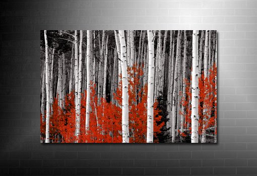 forest canvas print, red forest canvas art, landscape canvas wall art